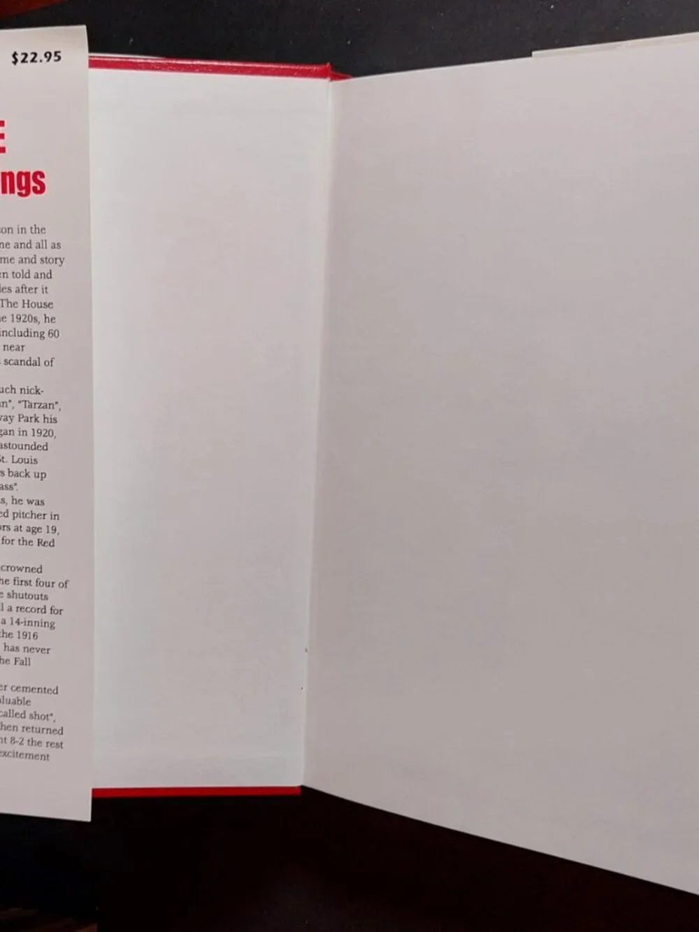 Babe in Red Stockings : an In-Depth Chronicle of Babe Ruth with the Boston Red